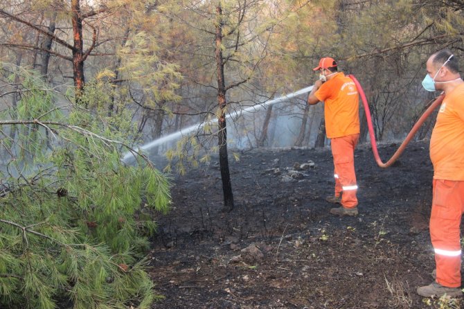 Kilis’teki Orman Yangını 5 Buçuk Saatte Güçlükle Kontrol Altına Alındı