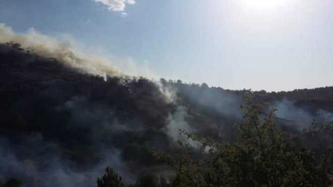 Başkent’te Ormanlık Alanda Yangın