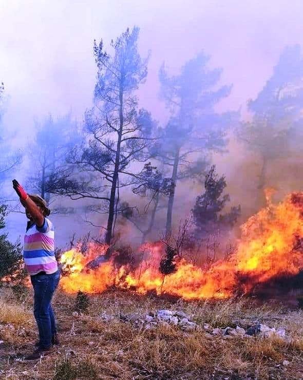 Menteşe’de Orman Yangını