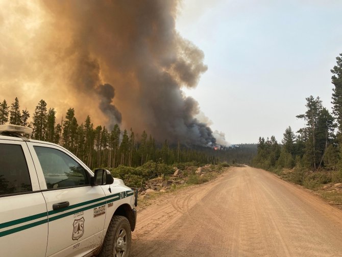 Dünya Genelinde Çıkan Yangınlarda Milyonlarca Hektar Ormanlık Alan Yandı