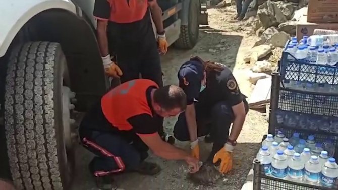 Antalya’da Yangın Söndürme Çalışmasına Destek Veren Ekipler, Yaralı Kaplumbağanın Hayatını Kurtardı
