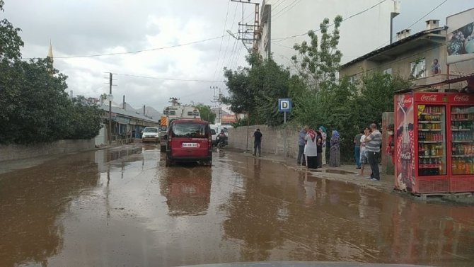 Van’da Sel