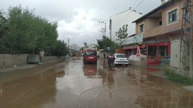 Van’da Sel