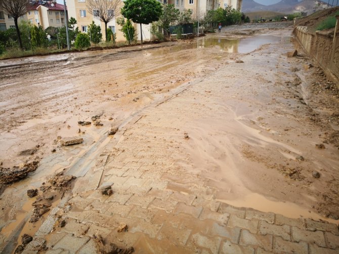 Van’da Sel
