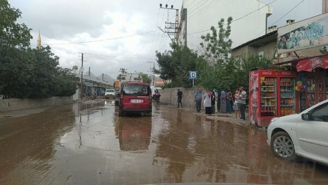 Van’da Sel