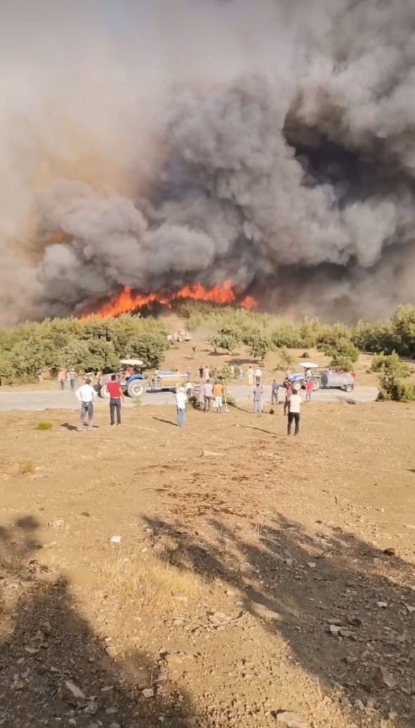 Kavaklıdere Yangınında Da Köyler Tahliye Edilmeye Başlandı