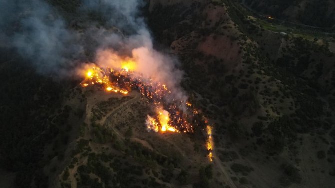 Manisa’da Korkutan Orman Yangını