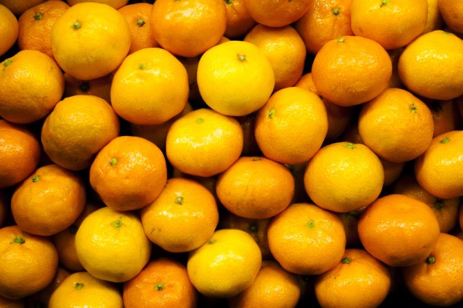 Vitamin Deposu Narenciyede Rekolte Düşüşte