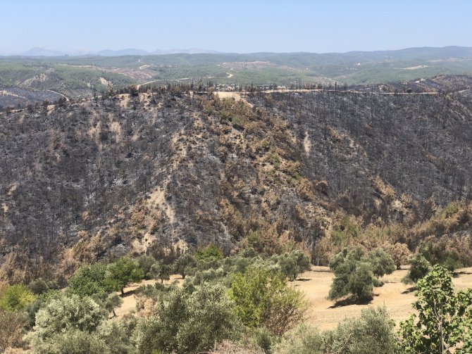Adana’da 4 Bin 150 Hektar Orman Alanı Zarar Gördü