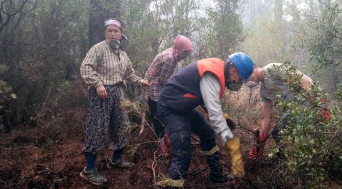 Yeşil Vatan’ın ‘Nene Hatunları’