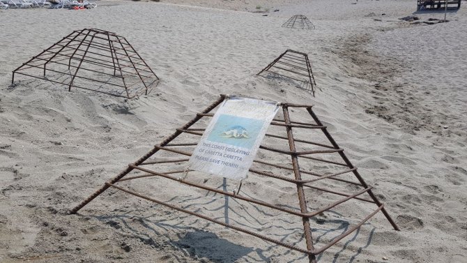 Alanya’da Caretta Carettalar Denizle Buluştu