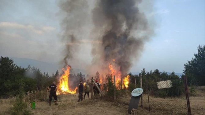 Kuzey Makedonya’da Orman Yangınlarına Müdahale İçin Ordu Seferber Oldu