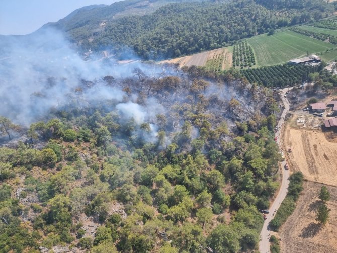Muğla Yangınlarında Son Durum