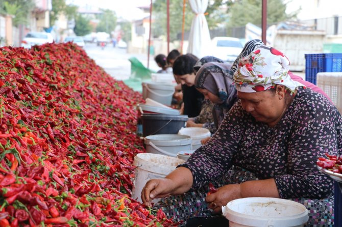 Kadınların ’En Acı’ Mesaisi