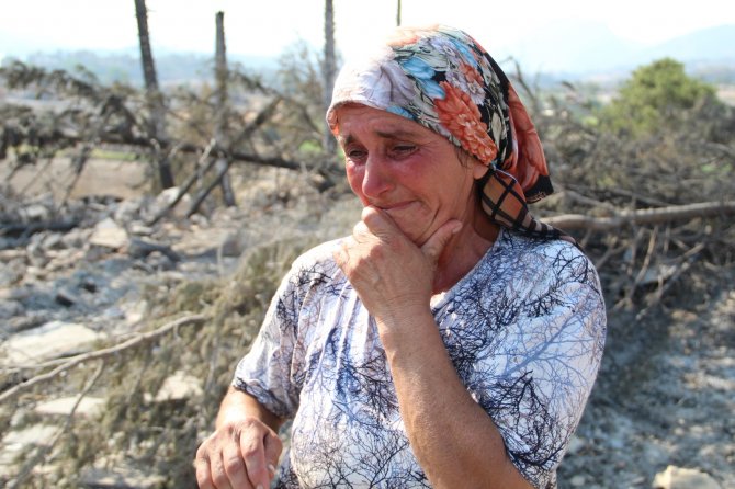 Yangınla Boğuşan Kardeşine Yardıma Gitti, Döndüğünde Evi Ve Koyunlarını Yanmış Halde Buldu