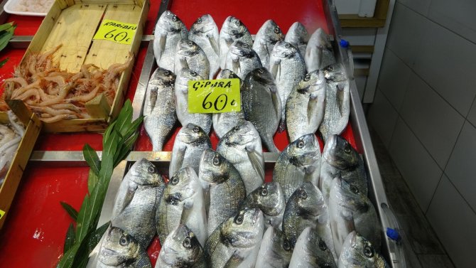Çanakkale’de Sardalyanın Kilosu 80, Tanesi İse 3 Lira Oldu