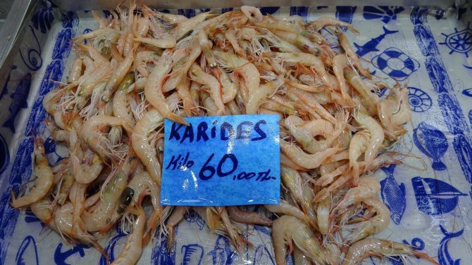 Çanakkale’de Sardalyanın Kilosu 80, Tanesi İse 3 Lira Oldu