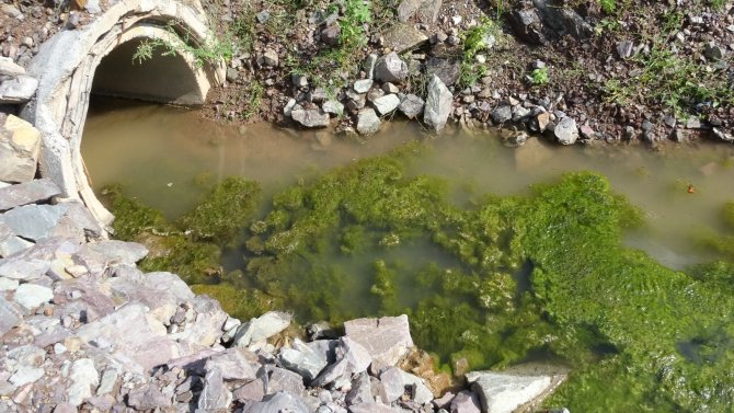 Göçbeyli Ve Ballıca’nın Kanalizasyon Atığı, Foseptik Yerine Ömerli Barajı’na Akıyor