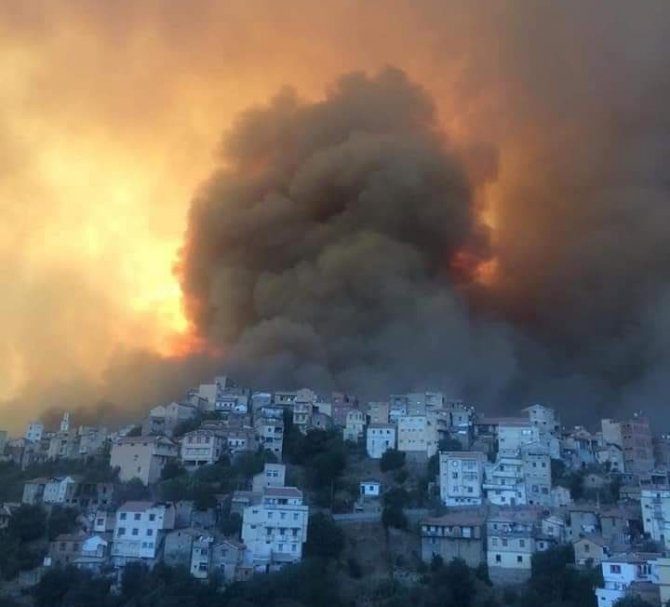 Cezayir’de 31 Noktada Orman Yangını Çıktı: 4 Ölü, 3 Yaralı