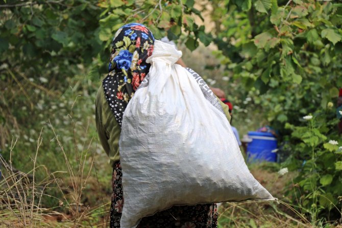 Yolları Kapandı, 2 Yıldır Tarlalarına Gidemiyorlar
