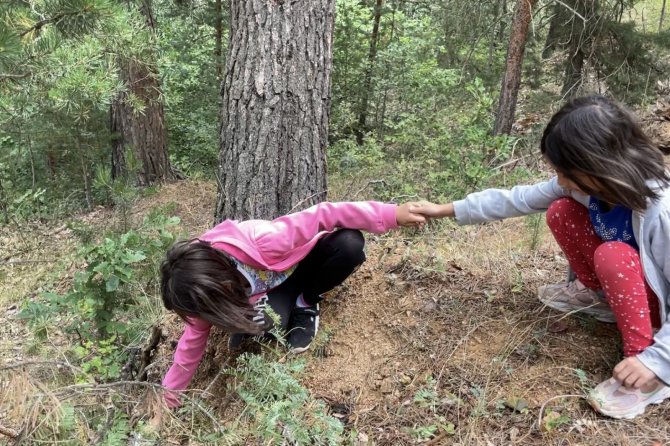Gümüşhane Ormanlarında Şişe Seferberliği