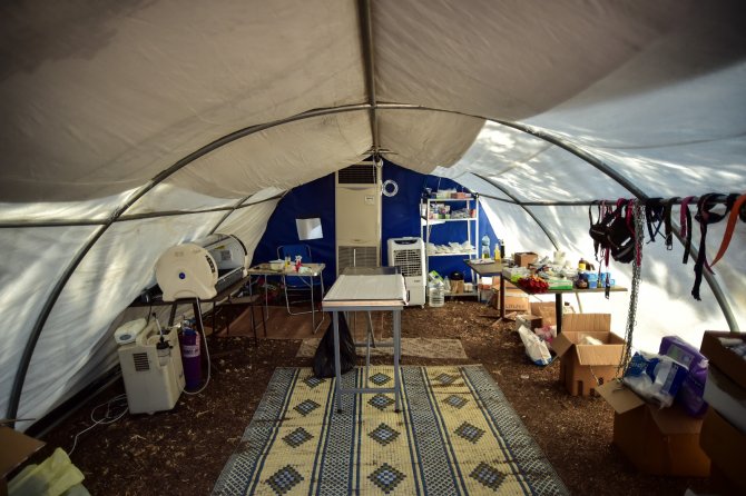 Marmaris’te Yangında Zarar Gören Hayvanların Tedavisi Tamamlandı