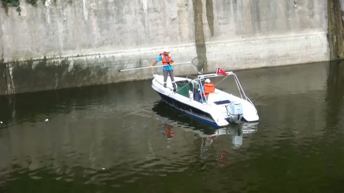 Asi Nehri’nde Balık Ölümleri