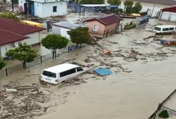 Sinop Ayancık Sele Teslim