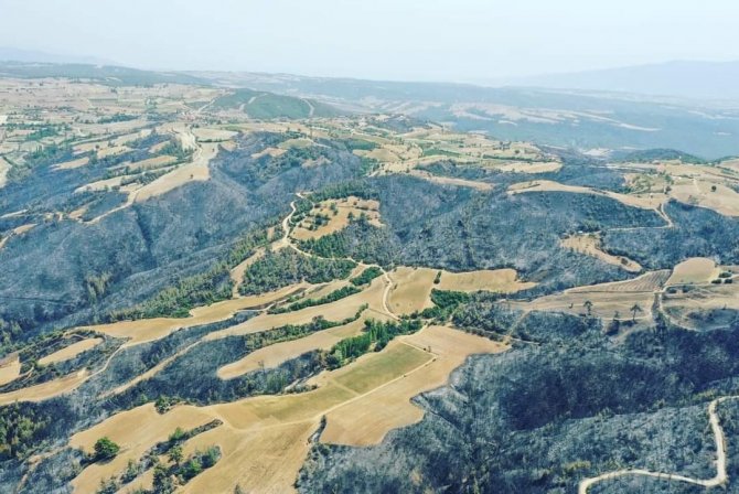 Yanan Ormanlar İçin Ağaçlandırma Projesi Başladı