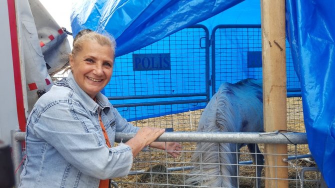 Artvin’de Bir Tırın Dorsesinde Ölüme Terk Edilen Atların Sahibine 35 Bin Lira Para Cezası Kesildi