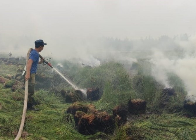 Sibirya’da Orman Yangınları Devam Ediyor