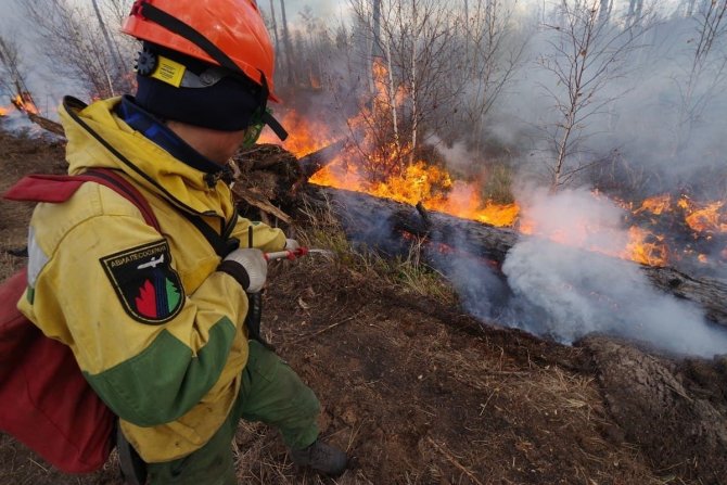 Sibirya’da Orman Yangınları Devam Ediyor