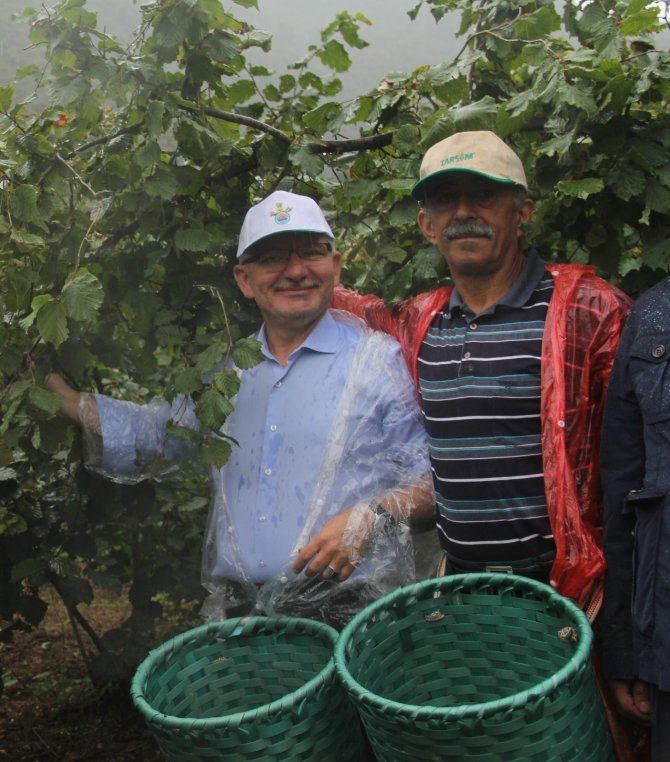 Ak Parti Giresun Milletvekili Kadir Aydın: “Üreticinin Beklediği Fiyat Açıklandı”