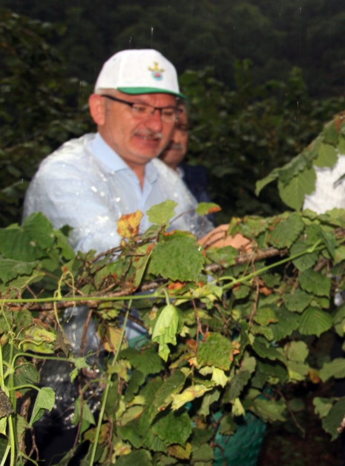 Ak Parti Giresun Milletvekili Kadir Aydın: “Üreticinin Beklediği Fiyat Açıklandı”