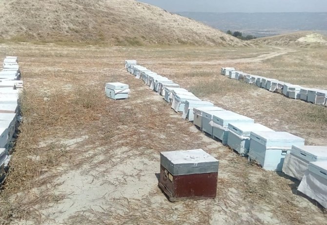 Kuraklık Ve Aşırı Sıcak Bal Üretimini Vurdu