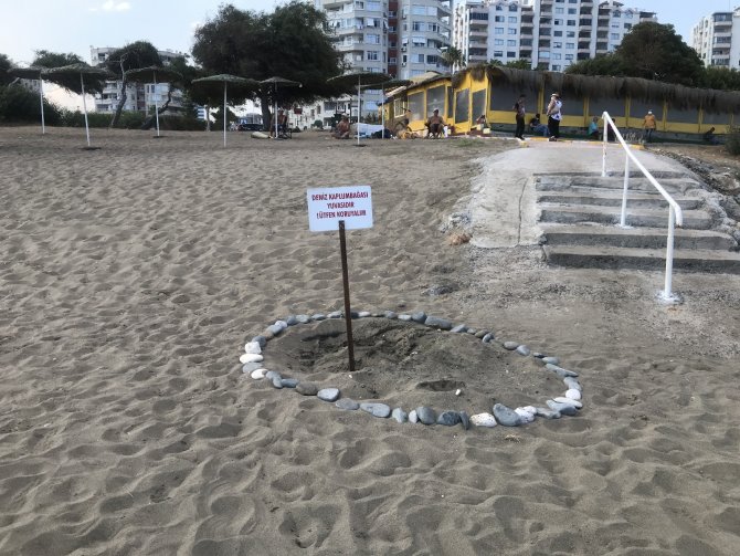 Mersin Kumsalı, Dünyada Çok Nadir Görülen Bir Olaya Ev Sahipliği Yaptı