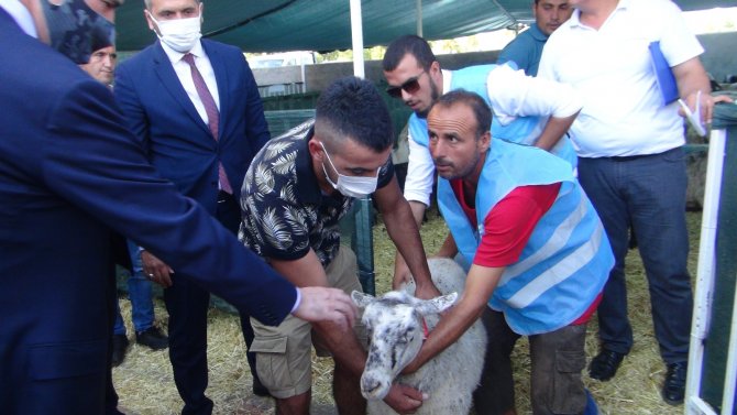 Mhp’den Manavgat’a 2 Bin 393 Küçükbaş, 107 Büyükbaş Hayvan Desteği