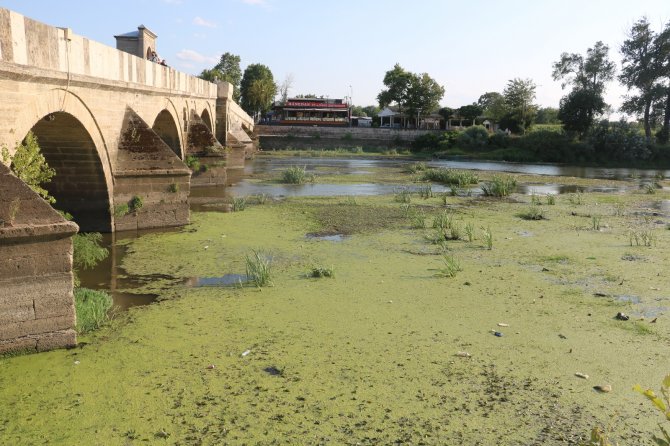 Tunca Nehri Çöp Ve Yosunlarla Kaplandı