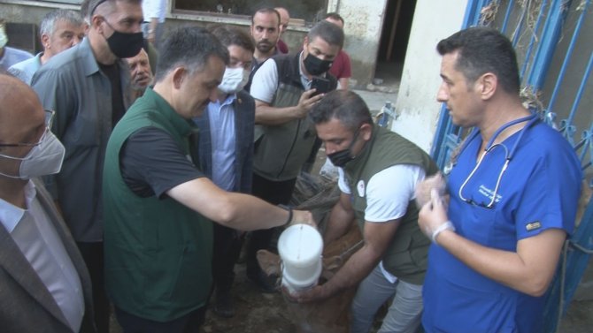 Bakan Pakdemirli, Sahibinin Selden Kurtardığı Buzağıyı Elleriyle Besledi
