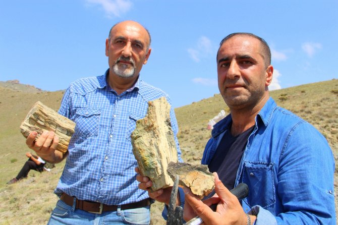 Erzurum’da 160 Milyon Yıllık Keşif