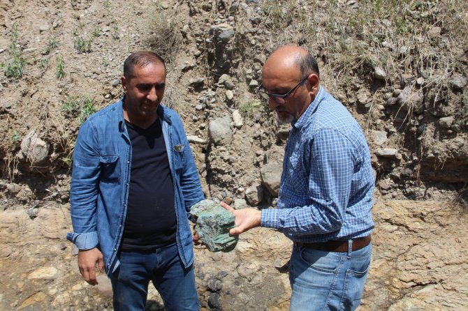 Erzurum’da 160 Milyon Yıllık Keşif