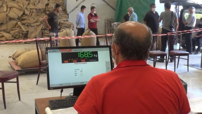 2021 Yılı Fındık Alımları 1 Eylül’de Başlıyor