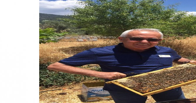 Yangın Sonrası Tabiatın Dengesini Sağlayan Arılarda Açlık Tehlikesi