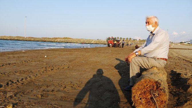 O Tomruklar Samsun Sahillerinde: 200 Km Sürüklendiler