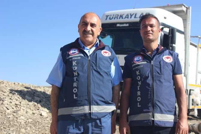 Van’da 1 Milyon 200 Bin Yavru Balık Suyla Buluştu