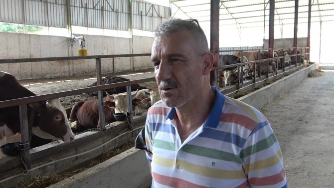 Selden Etkilenen Çiftçilere 89 Büyükbaş Hayvan Gönderdiler