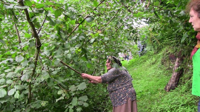 Şiddetli Yağmurda İstinat Duvarı Böyle Çöktü
