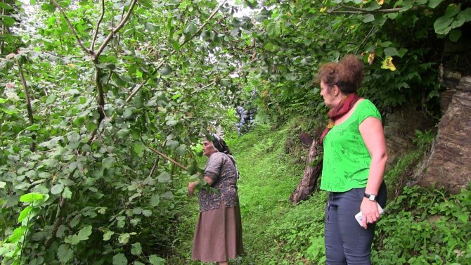 Şiddetli Yağmurda İstinat Duvarı Böyle Çöktü