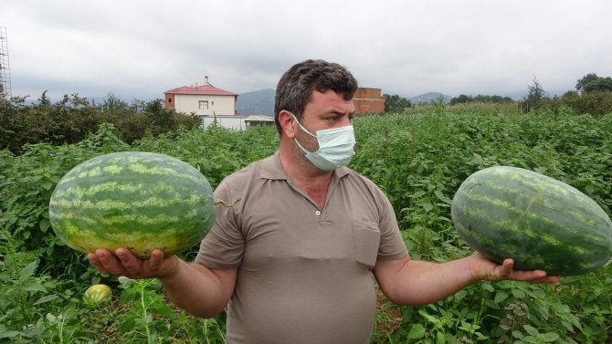 Üretim Az Olunca Değeri Daha Da Arttı