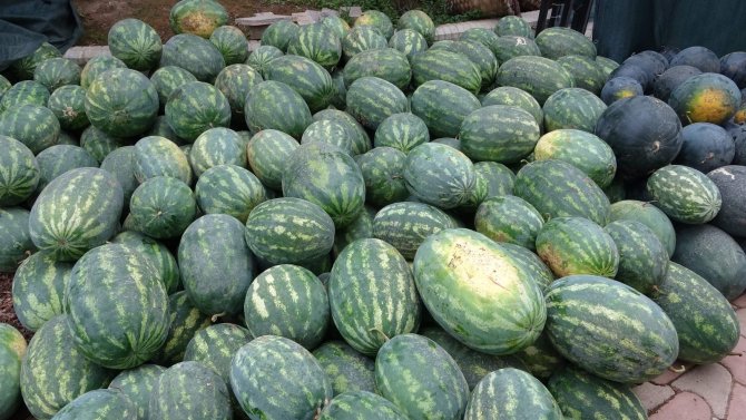 Üretim Az Olunca Değeri Daha Da Arttı